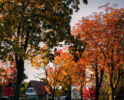 [2020-10-19] Herbst in Wilhelmshagen [2020-10-19] Herbst in Wilhelmshagen am