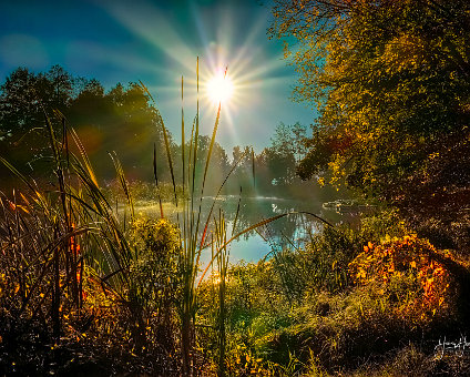 [2018-10-13] Herbst in den goosener Wiesen [2018-10-13] Herbst in den goosener Wiesen am 13.10.2018 08:58:17 Gosener Wiesen Gosen-Neu Zittau Deutschland