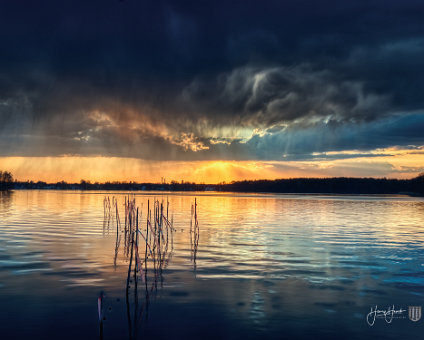 [2020-04-12] Vor dem großen Regen am Seddinsee [2020-04-12] Vor dem großen Regen am Seddinsee am 12.04.2020 18:30:47 Seddinsee Berlin Deutschland