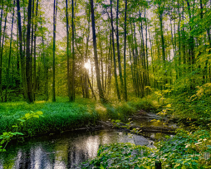 [2020-05-31] Bukow Märkische Schweiz [2020-05-31] Bukow Märkische Schweiz am 31.05.2020 19:45:57 Naturpark Märkische Schweiz Buckow (Märkische Schweiz) Deutschland