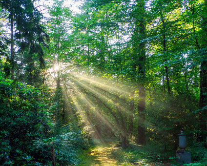 [2020-06-21] Wanderung um den Südwestfriedhof [2020-06-21] Wanderung um den Südwestfriedhof am 21.06.2020 19:31:25 Bahnhofstraße 2 Stahnsdorf Deutschland