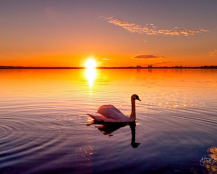 [2019-02-24] Strandbad Müggelsee Sonnenuntergang_17-18-32_00002